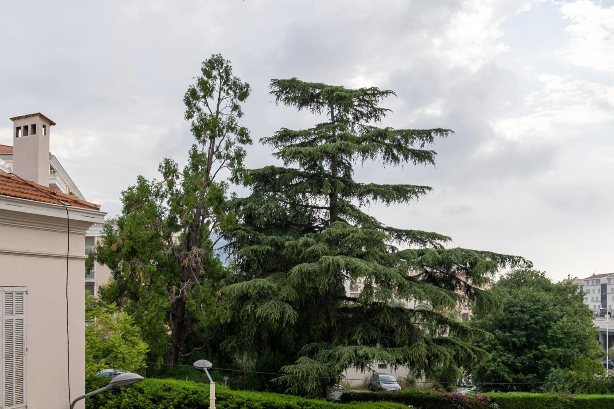 Beautiful Apartment Cannes Center Terrace Parking Bagian luar foto